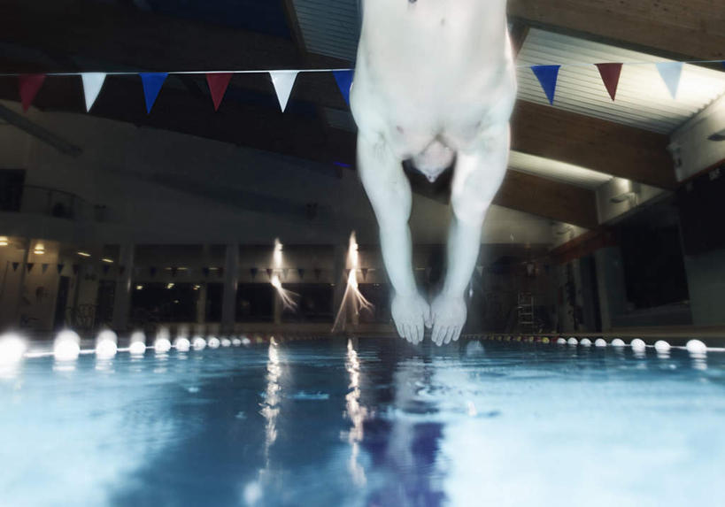 西方人,一个人,运动员,体育馆,游泳池,运动场,跳,举,横图,室内,白天,仰视,水,旗帜,欧洲,欧洲人,仅一个男性,仅一个人,一排,许多,吊挂,悬挂,朦胧,模糊,整齐,水池,水面,很多,挂,注视,旗子,体育场,泳池,裸露,排列,仅一个年轻男性,晾衣绳,绳子,观察,看,托,观看,察看,游泳馆,队列,关注,下降,裸,降落,运动馆,旌旗,旗号,降低,下跌,下落,男人,男性,年轻男性,白种人,体育运动员,运动选手,举起,举手,举着,跳跃,向上举,向上伸,向上托,半身,彩图,低角度拍摄