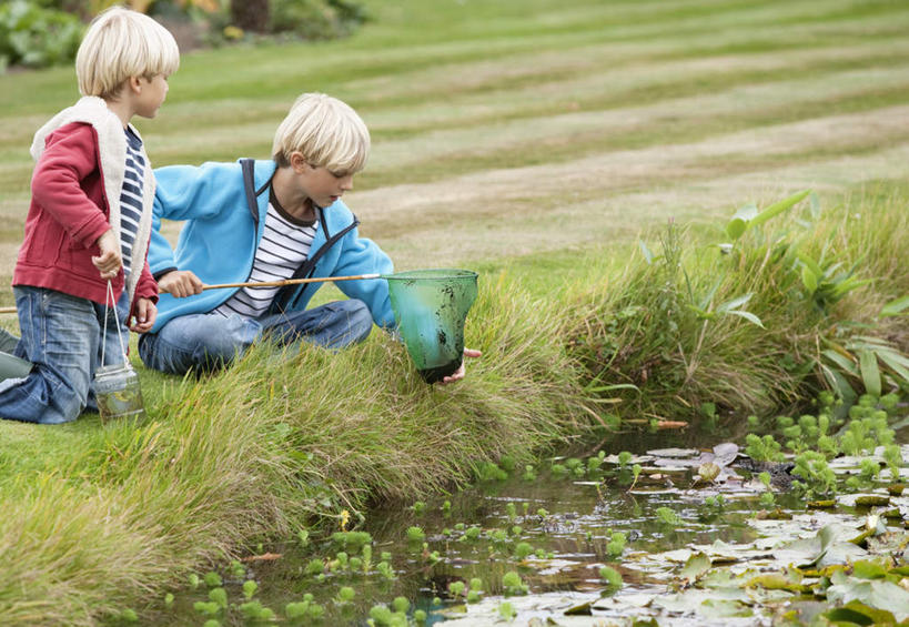西方人,儿童,两个人,家庭,坐,跪,盘腿,横图,室外,白天,正面,纯洁,草地,草坪,植物,欧洲,欧洲人,握,阴影,服装,光线,影子,池塘,水池,捕虫网,拿,拿着,注视,休闲装,草,一个,小孩,衣服,绿色,阳光,低头,观察,看,休闲,温暖,温馨,一家人,休闲服,可爱,童年,童趣,握着,服饰,单个,观看,扫网,水网,和睦,察看,关注,童真,烂漫,无邪,扑网,垂头,天真,男孩,男人,男性,白种人,跪着,盘腿而坐,盘膝,盘着腿的,盘着腿坐,双腿交叉,坐着,半身,彩图,融洽,男生