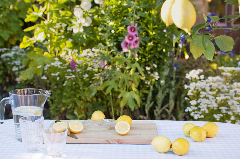 无人,横图,俯视,室外,白天,水,植物,桌面,桌子,柠檬,杯子,水果,许多,阴影,朦胧,模糊,新鲜,盛开,光线,木制,壶,液体,影子,生食,食品,果实,案板,很多,花蕾,饮用水,玻璃制品,水壶,砧板,花,花瓣,花朵,鲜花,树,树木,食物,绿色,阳光,自然,茶壶,木制品,容器,水杯,矿泉水,花苞,花蕊,有机食品,绿色食品,生长,成长,蒸馏水,玻璃杯,益母果,柠果,彩图,高角度拍摄