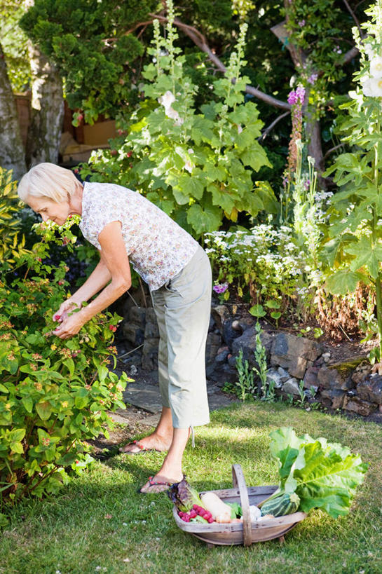 西方人,一个人,农田,站,交叉,竖图,室外,白天,侧面,庄稼,农作物,草地,草坪,植物,竹子,浆果,水果,欧洲,欧洲人,仅一个女性,仅一个人,弯腰,握,阴影,竹制,服装,新鲜,编织,光线,篮子,影子,桑葚,生食,食品,果实,拿,拿着,注视,休闲装,草,树,树木,食物,一个,衣服,绿色,阳光,自然,竹篮,覆盆子,观察,看,站着,休闲,休闲服,握着,服饰,仅一个老年女性,有机食品,绿色食品,生长,单个,成长,观看,竹条,交织,察看,竹制品,关注,弯身,穿插,老年女性,女人,女性,白种人,站立,彩图,全身,耕地,庄稼田