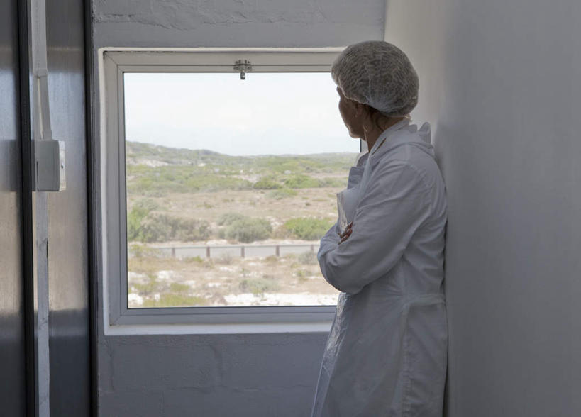 西方人,一个人,医生,站,双手交叉,横图,室内,白天,侧面,工作服,制服,窗户,帽子,欧洲,欧洲人,仅一个年轻女性,仅一个女性,仅一个人,墙,注视,玻璃窗,墙壁,墙面,观察,看,靠,靠着,站着,医护人员,医疗人员,观看,察看,双手抱胸,关注,医生帽,工作制服,年轻女性,女人,女性,白种人,大夫,站立,半身,彩图,工作套服