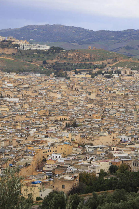 无人,家,竖图,俯视,航拍,室外,白天,旅游,度假,名胜古迹,山,山脉,植物,标志建筑,地标,建筑,非洲,摩洛哥,遗迹,房屋,屋子,山峰,公寓,山峦,古迹,文物,娱乐,建设,古建筑,洋房,楼房,住宅,树,树木,绿色,天空,自然,群山,天,享受,休闲,旅游胜地,放松,生长,成长,鸟瞰,古文明,阿非利加洲,摩洛哥王国,菲斯,彩图,高角度拍摄,房子