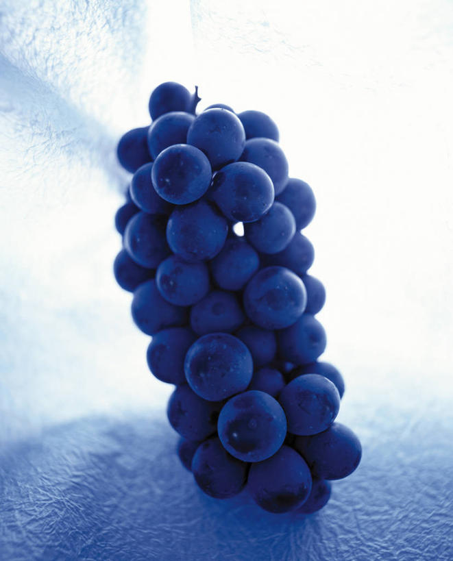 无人,竖图,室内,特写,白天,正面,葡萄,水果,一串,阴影,朦胧,模糊,新鲜,反射,影子,生食,食品,果实,食物,有机食品,绿色食品,山葫芦,蒲桃,草龙珠,彩图