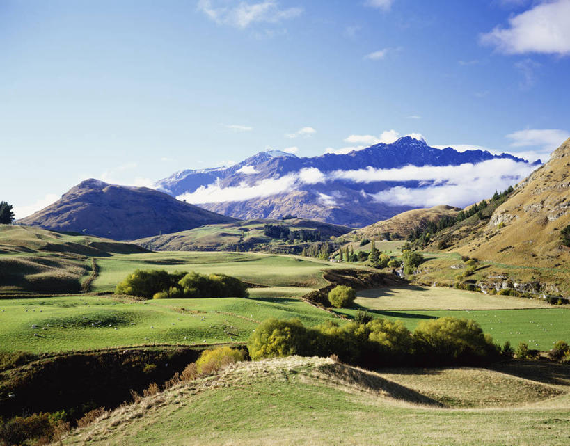 无人,农田,横图,室外,白天,正面,旅游,度假,庄稼,农作物,草地,草坪,美景,山,山脉,树林,植物,新西兰,阴影,光线,影子,景观,山峰,云,云朵,山峦,云彩,娱乐,草,树,树木,蓝色,绿色,白云,蓝天,天空,阳光,自然,群山,天,享受,休闲,景色,放松,生长,晴朗,成长,自然风光,大洋洲,纽西兰,长白云之乡,新西兰南岛,奥塔哥大区,皇后镇,昆士敦,昆斯敦,晴空,彩图,耕地,庄稼田,卓越山脉