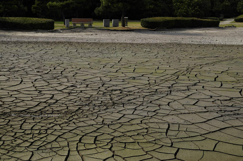 无人,横图,室外,白天,正面,美景,树林,植物,日本,亚洲,干枯,景观,地面,千叶县,树,树木,绿色,自然,景色,生长,成长,干涸,自然风光,自然现象,东亚,地震,本州,关东地方,本州岛,日本国,千叶,枯竭,地动,振动,地振动,地震波,彩图
