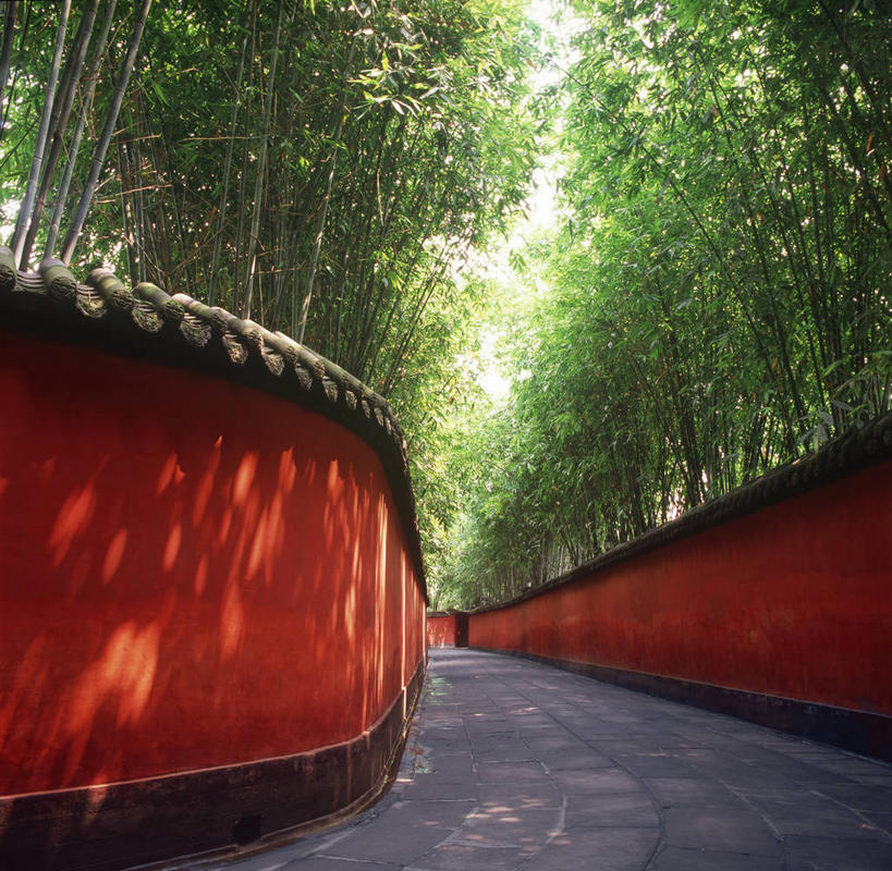 无人,横图,室外,白天,仰视,旅游,度假,美景,树林,植物,道路,路,中国,亚洲,阴影,光线,影子,墙,景观,小路,交通,娱乐,墙壁,墙面,树,树木,红色,绿色,阳光,自然,享受,休闲,景色,放松,祠堂,四川省,生长,成长,自然风光,祠庙,东亚,四川,成都,成都市,中华人民共和国,省会,西南地区,川,武侯祠,彩图,低角度拍摄,君臣合祀祠庙