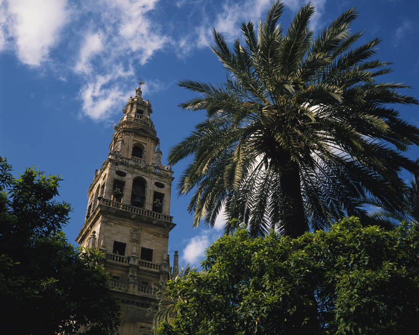 无人,横图,室外,白天,仰视,旅游,度假,植物,窗户,标志建筑,地标,建筑,棕榈树,叶子,西班牙,欧洲,阴影,节日,时间,光线,时钟,影子,云,云朵,绿叶,计时,云彩,文化,娱乐,建设,安达卢西亚,玻璃窗,树,树木,蓝色,绿色,白云,蓝天,天空,阳光,自然,钟表,天,祈祷,享受,休闲,健康,嫩叶,表,旅游胜地,放松,许愿,宗教,信仰,生长,晴朗,成长,纪念,祈求,伊斯兰教,南欧,安达鲁西亚,清真寺,棕榈叶,科尔多瓦清真寺,科尔多瓦,西班牙王国,塔钟,安达卢西亚自治区,科尔多瓦大清真寺,平安,叶,叶片,钟,晴空,棕树,棕榈,彩图,低角度拍摄