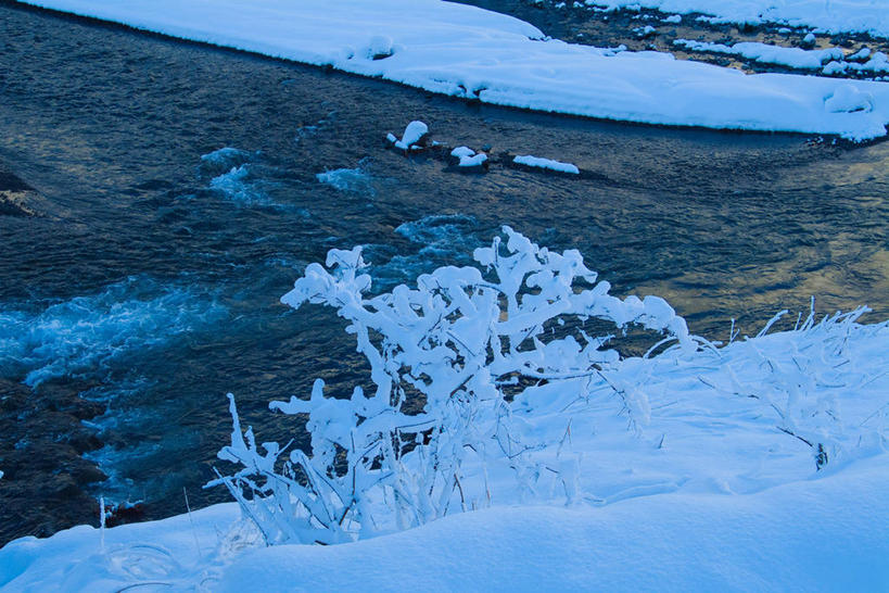 无人,家,横图,俯视,室外,白天,旅游,度假,草地,草坪,美景,森林,山,山脉,树林,雪,植物,大雪,日本,亚洲,阴影,光线,影子,房屋,屋子,积雪,景观,山峰,雪景,冬季,冬天,公寓,枝条,山峦,娱乐,洋房,楼房,住宅,草,树,树木,树枝,绿色,阳光,自然,群山,享受,休闲,景色,放松,寒冷,生长,成长,自然风光,东亚,本州,本州岛,日本国,近畿地方,近畿,滋贺,滋贺县,严寒,虬枝,枝杈,彩图,高角度拍摄,房子,高岛市
