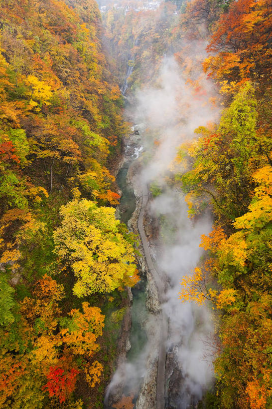 无人,竖图,俯视,室外,白天,旅游,度假,河流,美景,树林,水,植物,秋田县,日本,亚洲,阴影,光线,影子,河水,景观,水流,娱乐,树,树木,绿色,阳光,自然,享受,休闲,景色,放松,生长,成长,自然风光,东亚,本州,本州岛,日本国,秋田,东北地方,汤泽,汤泽市,彩图,高角度拍摄