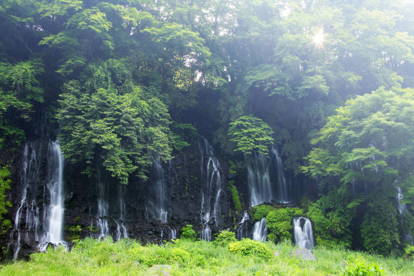 无人,横图,室外,白天,正面,旅游,度假,草地,草坪,美景,瀑布,山,山脉,树林,水,植物,长野县,日本,亚洲,阴影,飞溅,溅,光线,液体,影子,景观,山峰,水滴,山峦,娱乐,水珠,草,树,树木,绿色,阳光,自然,群山,享受,休闲,景色,放松,生长,成长,喷洒,自然风光,东亚,本州,本州岛,日本国,中部地方,长野,轻井泽,轻井泽町,白丝瀑布,跌水,彩图,北佐久郡