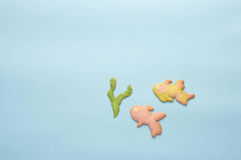 点心,无人,横图,俯视,室内,特写,白天,两条,蓝色背景,鱼,食品,甜点,鱼类,食物,糕点,饼干,甜食,零食,海藻,摄影,影棚,海草,装饰饼干,彩图,高角度拍摄,影棚拍摄,拍摄