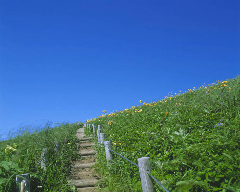无人,横图,室外,白天,仰视,旅游,度假,草地,草坪,美景,山,山脉,植物,楼梯,北海道,日本,亚洲,阴影,光线,影子,阶梯,景观,山峰,山峦,娱乐,台阶,草,蓝色,绿色,蓝天,天空,阳光,自然,群山,天,享受,休闲,景色,放松,晴朗,自然风光,东亚,万里无云,日本国,北海道地方,北海道岛,晴空,晴空万里,彩图,低角度拍摄,振兴局,礼文岛,礼文郡,礼文町,宗谷综合振兴局