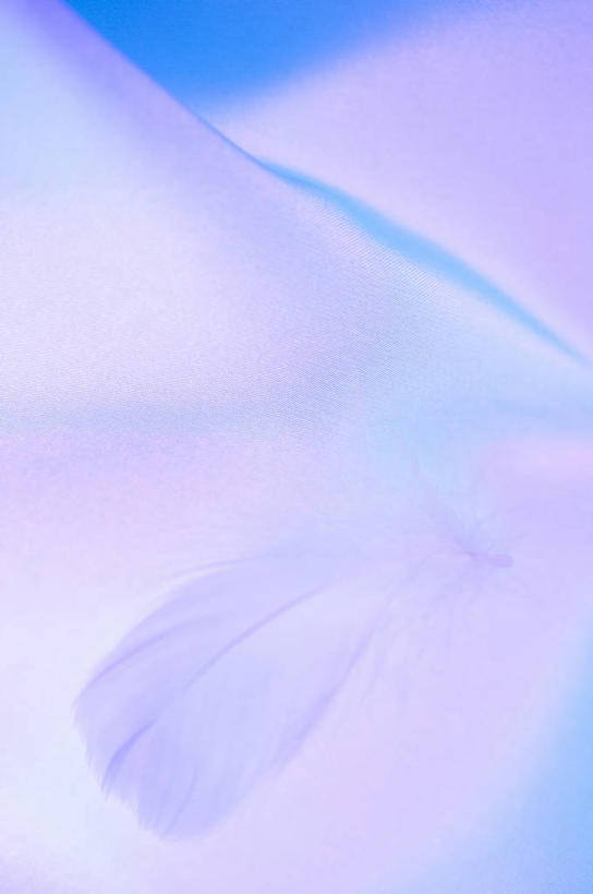 无人,竖图,室内,特写,白天,正面,静物,羽毛,轻盈,柔软,纹路,纹理,紫色,肌理,轻柔,彩图