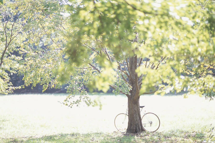 无人,横图,室外,白天,正面,旅游,度假,草地,草坪,美景,植物,自行车,神奈川,日本,亚洲,一辆,阴影,光线,影子,景观,神奈川县,娱乐,车,脚踏车,草,树,树木,绿色,阳光,自然,交通工具,靠,靠着,倚靠,享受,休闲,景色,放松,生长,成长,倚着,自然风光,载具,东亚,本州,川崎,关东地方,本州岛,日本国,彩图,川崎市