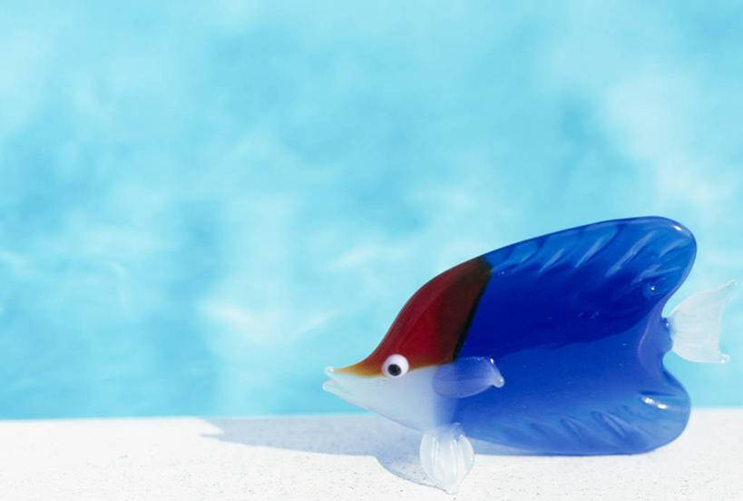 无人,横图,室内,特写,白天,侧面,静物,工艺美术品,玻璃,一条,阴影,艺术,反射,鱼,影子,艺术品,鱼类,海洋生物,玻璃制品,蓝色,工艺品,工艺,美术,水生动物,水生物,海底动物,彩图,全身