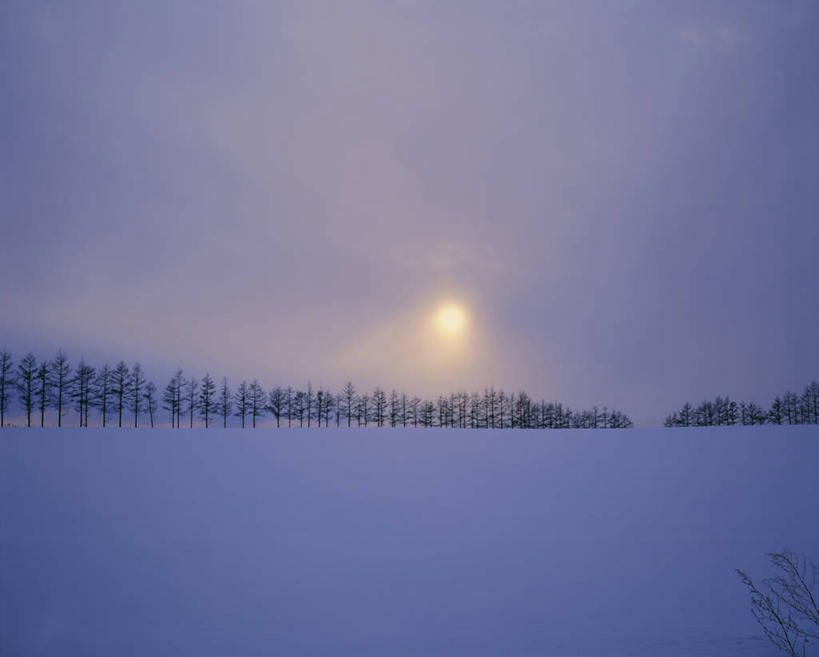无人,横图,室外,白天,正面,旅游,度假,美景,日落,树林,雪,植物,大雪,北海道,日本,亚洲,积雪,景观,晚霞,霞光,雪景,冬季,冬天,落日,娱乐,树,树木,绿色,自然,黄昏,享受,休闲,景色,彩霞,放松,寒冷,生长,成长,自然风光,东亚,日本国,北海道地方,北海道岛,严寒,夕照,薄暮,夕阳,彩图,傍晚,鄂霍次克综合振兴局,网走郡,大空町,斜阳,道东,网走支厅