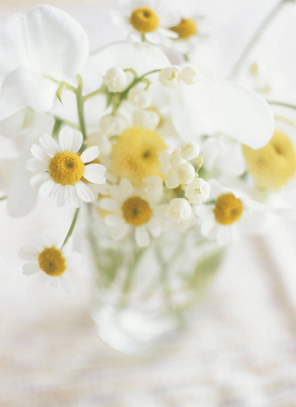 无人,竖图,俯视,室内,特写,白天,花瓶,阴影,花纹,朦胧,模糊,盛开,反射,布,图案,影子,洋甘菊,花蕾,布纹,玻璃制品,花,花瓣,花朵,鲜花,玻璃瓶,瓶子,花苞,花蕊,菊花,活力,力量,布匹,坚强,交往,母菊,和好,彩图,高角度拍摄