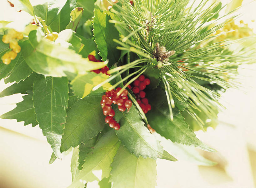 无人,横图,俯视,室内,特写,白天,叶子,阴影,朦胧,模糊,装饰,反射,影子,果实,绿叶,嫩叶,华丽,修饰,点缀,门松,衬托,美观,雅致,雅观,长寿,叶,叶片,彩图,高角度拍摄