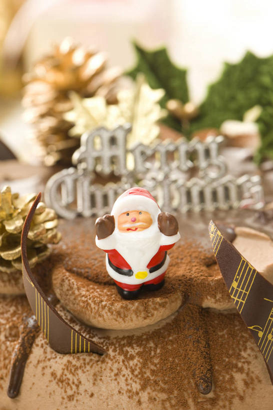 点心,无人,竖图,室内,特写,白天,正面,雕塑,圣诞老人,阴影,朦胧,模糊,艺术,装饰,反射,英文,标志,雕刻,雕像,文字,影子,字符,字母,食品,标识,食物,糕点,工艺品,冬青,纪念,希望,英文字母,美术,生命,主题,陈列,槲寄生,北寄生,桑寄生,柳寄生,黄寄生,冻青,寄生子,功能,美学,丰饶,圣诞蛋糕,彩图,蛋糕