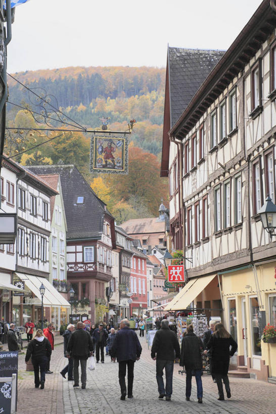 西方人,背部,站,走,竖图,室外,白天,正面,度假,美景,山,山脉,树林,植物,窗户,城市风光,城市,道路,路,公路,德国,欧洲,欧洲人,一排,许多,行人,游客,游人,阴影,服装,整齐,并列,并排,光线,影子,景观,山峰,交通,山峦,很多,许多人,注视,休闲装,娱乐,路人,旅客,玻璃窗,树,树木,排列,衣服,蓝色,绿色,蓝天,天空,阳光,自然,群山,天,观察,看,站着,一群人,享受,休闲,休闲服,景色,放松,服饰,生长,晴朗,成长,观看,察看,西欧,队列,关注,平行,万里无云,德意志联邦共和国,巴伐利亚,巴伐利亚州,拜恩州,拜恩自由州,过客,米滕瓦尔德,男人,男性,女人,女性,中年男性,中年女性,白种人,晴空,晴空万里,马路,步行,散步,站立,走路,彩图,全身