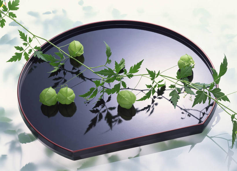 无人,横图,俯视,室内,特写,白天,植物,浆果,水果,叶子,阴影,新鲜,反射,影子,生食,食品,果实,绿叶,食物,绿色,自然,嫩叶,有机食品,绿色食品,生长,成长,倒地铃,风船葛,倒藤卜仔草,三角卜,叶,叶片,彩图,高角度拍摄