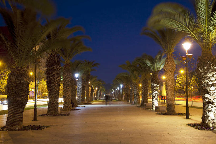 无人,横图,室外,夜晚,正面,度假,美景,植物,城市风光,城市,道路,路,路灯,棕榈树,叶子,照明,非洲,摩洛哥,一排,许多,阴影,整齐,并列,并排,光线,影子,景观,小路,灯光,绿叶,交通,很多,娱乐,灯,树,树木,排列,绿色,自然,享受,休闲,嫩叶,景色,放松,生长,成长,照亮,照明设备,队列,平行,棕榈叶,阿非利加洲,摩洛哥王国,菲斯,叶,叶片,棕树,棕榈,彩图