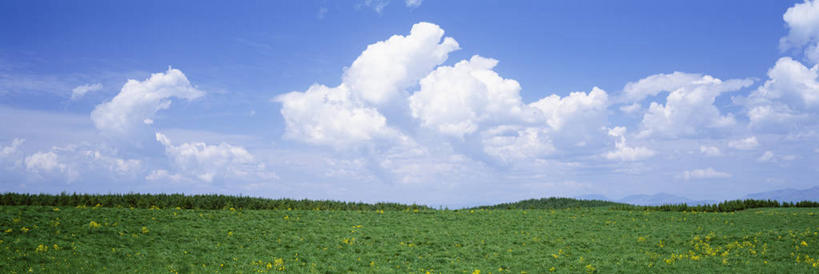 无人,横图,室外,白天,正面,旅游,度假,草地,草坪,花海,花圃,美景,树林,植物,叶子,北海道,日本,亚洲,阴影,盛开,光线,影子,景观,云,云朵,花蕾,云彩,娱乐,草,花,花瓣,花朵,花卉,鲜花,树,树木,蓝色,绿色,白云,蓝天,天空,阳光,自然,花丛,花束,花田,天,花苞,花蕊,享受,休闲,景色,放松,生长,晴朗,成长,自然风光,东亚,日本国,北海道地方,北海道岛,根室支厅,晴空,彩图,标津郡,道东,中标津町