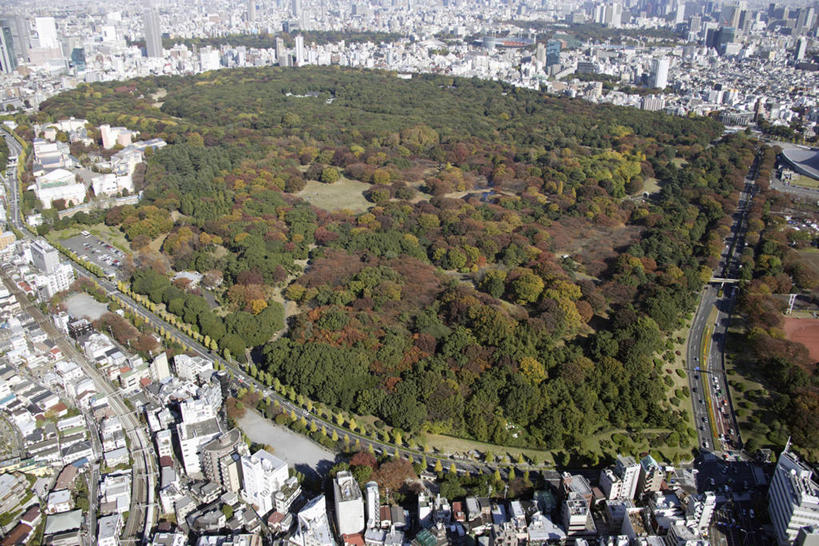 无人,公园,家,高楼大厦,栏杆,横图,俯视,航拍,室外,白天,度假,美景,树林,植物,城市风光,城市,大厦,建筑,摩天大楼,东京,日本,亚洲,阴影,光线,影子,房屋,屋子,景观,建筑群,围栏,娱乐,建设,护栏,楼房,住宅,树,树木,绿色,阳光,自然,享受,休闲,景色,放松,生长,成长,鸟瞰,东亚,本州,关东地方,本州岛,日本国,东京都,涩谷,涉谷,涩谷区,代代木公园,彩图,高角度拍摄,房子,大楼,高层建筑,高楼,摩天楼