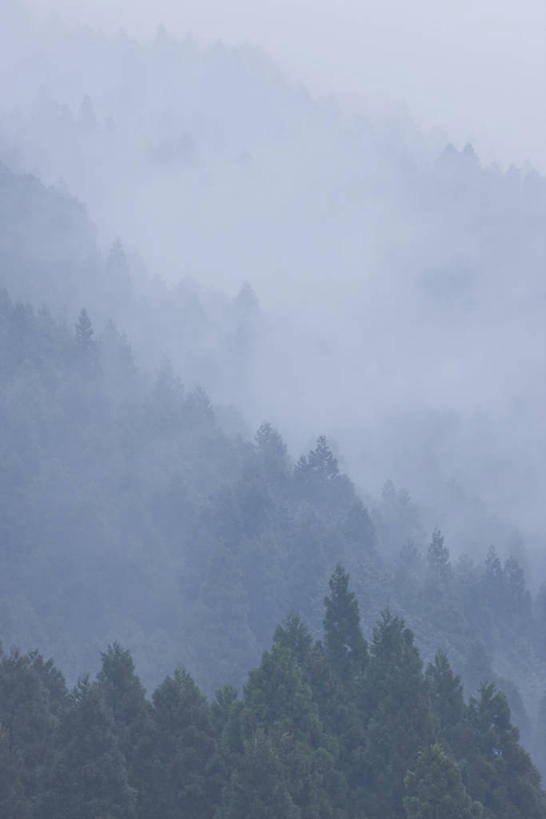 无人,竖图,室外,白天,正面,旅游,度假,美景,森林,山,山脉,树林,植物,雾,日本,亚洲,朦胧,模糊,景观,山峰,山峦,娱乐,树,树木,绿色,自然,群山,享受,休闲,景色,放松,生长,成长,迷雾,自然风光,东亚,本州,本州岛,日本国,近畿地方,近畿,滋贺,滋贺县,县厅,大津市,大雾,彩图,大津