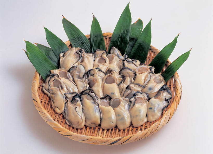 海鲜,无人,横图,俯视,室内,特写,白天,白色背景,一堆,许多,阴影,堆叠,堆积,芳香,反射,扁担,影子,牡蛎,很多,水产,海洋生物,摄影,影棚,堆,生蚝,棕叶,水生动物,海产品,水生物,海底动物,农具,抗菌,抗免氧化,抑菌,绿色银行,箸叶,竹木用具,彩图,高角度拍摄,影棚拍摄,拍摄