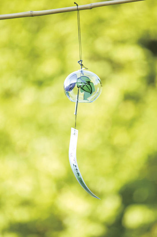 无人,竖图,室外,特写,白天,正面,幸福,运气,美景,植物,风铃,阴影,朦胧,模糊,光线,影子,景观,枝条,树,树木,树枝,绿色,阳光,自然,祈祷,祈福,景色,警示,许愿,生长,成长,祈求,吉祥,平和,自然风光,问候,警惕,思念,想念,玉振,虬枝,枝杈,幸运,占风铎,彩图,日式风铃