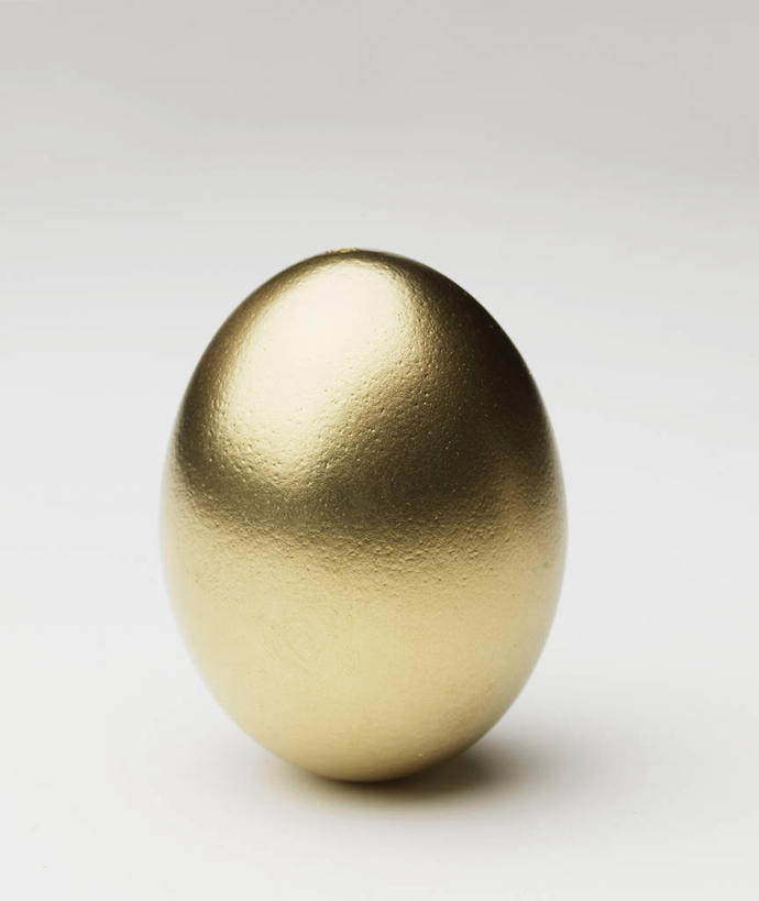 无人,竖图,俯视,室内,特写,白天,静物,阴影,灰色背景,反射,影子,蛋,一个,金融,理财,摄影,影棚,经济,单个,金蛋,流通,贸易,卵,彩图,高角度拍摄,影棚拍摄,拍摄