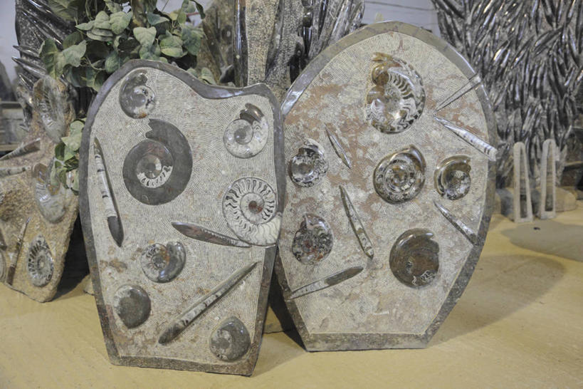 无人,横图,室内,白天,正面,石头,阴影,遗迹,反射,纹路,化石,石子,纹理,影子,贵重,珍贵,肌理,名贵,遗体,菊石,宝贵,古生物,石块,岩石,彩图