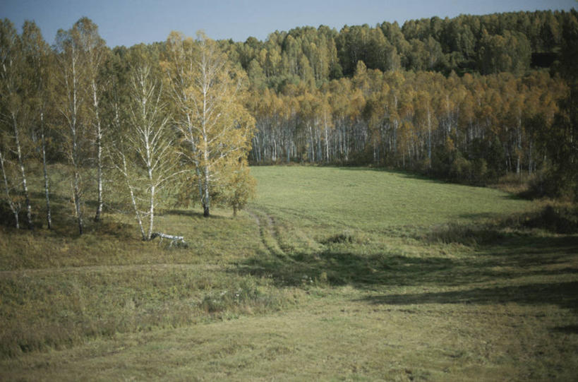 无人,横图,室外,白天,正面,旅游,度假,草地,草坪,美景,树林,植物,欧洲,俄罗斯,亚洲,阴影,光线,影子,景观,首都,娱乐,草,树,树木,蓝色,绿色,蓝天,天空,阳光,自然,天,享受,休闲,景色,放松,生长,晴朗,成长,自然风光,莫斯科,万里无云,俄联邦,俄罗斯联邦,莫斯科州,五海之港,符拉迪沃斯托克,海参崴,滨海边疆区,晴空,晴空万里,彩图,西伯利亚铁路
