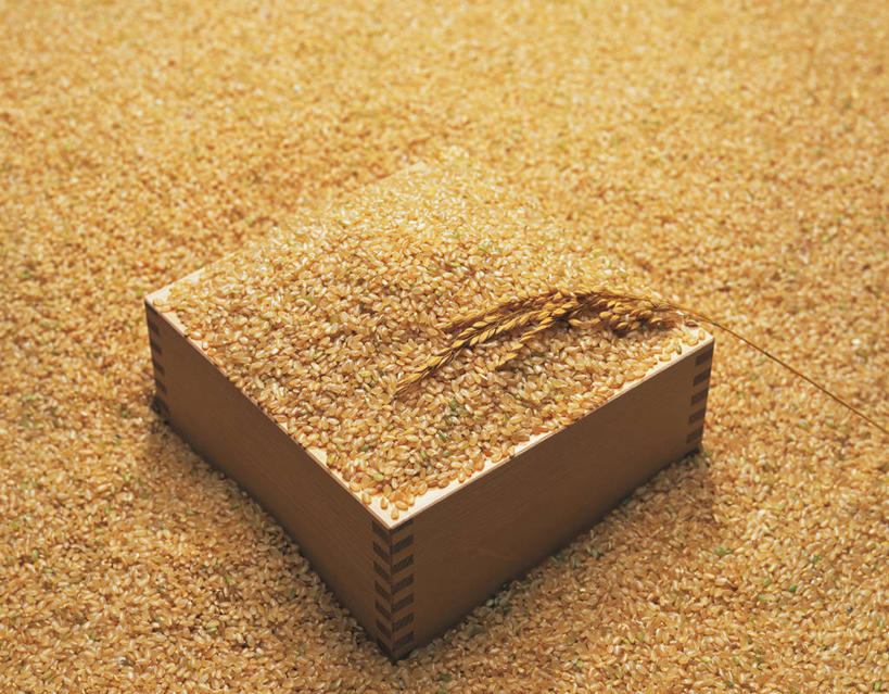 无人,横图,俯视,室内,特写,白天,一堆,许多,阴影,堆叠,堆积,反射,木制,木盒,影子,谷类,谷物,褐色,米,很多,大米,木制品,容器,糙米,摄影,影棚,储藏,堆,储存,玄米,彩图,高角度拍摄,影棚拍摄,拍摄,贮存