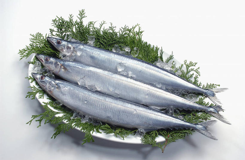 无人,横图,俯视,室内,特写,白天,白色背景,餐具,叶子,阴影,反射,秋刀鱼,鱼,碟子,盘,影子,绿叶,水产,鱼类,盘子,碟,嫩叶,摄影,影棚,三条,竹刀鱼,刀鱼,水生动物,水生物,叶,叶片,彩图,高角度拍摄,全身,影棚拍摄,拍摄,淡水生物,河鲜