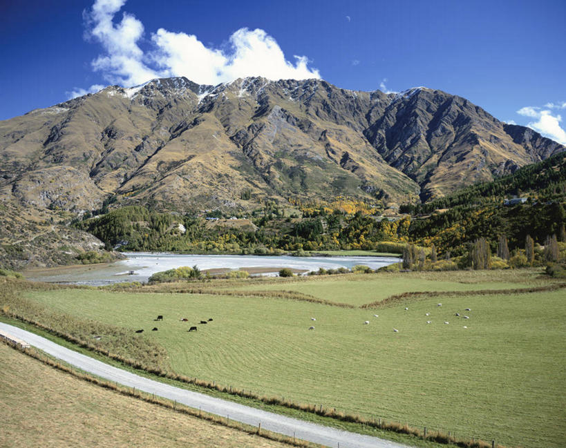无人,农场,站,横图,室外,白天,正面,旅游,度假,畜牧业,牧场,草地,草坪,石头,美景,山,山脉,植物,牛,羊,新西兰,一群,许多,阴影,光线,石子,影子,景观,山峰,云,云朵,山峦,很多,云彩,娱乐,草,树,树木,蓝色,绿色,白云,蓝天,天空,阳光,自然,动物,群山,天,站着,享受,休闲,家畜,景色,放松,牲畜,生长,晴朗,成长,自然风光,大洋洲,畜牧,牧业,纽西兰,长白云之乡,新西兰南岛,奥塔哥大区,皇后镇,昆士敦,昆斯敦,石块,岩石,晴空,绵羊,站立,彩图,全身