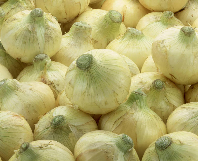 无人,横图,俯视,室内,特写,白天,蔬菜,洋葱,一堆,许多,阴影,堆叠,堆积,新鲜,反射,影子,食品,很多,食物,摄影,有机食品,绿色食品,影棚,堆,玉葱,荷兰葱,圆葱,洋葱头,球葱,葱头,彩图,高角度拍摄,全画面,全框架,全帧,影棚拍摄,拍摄,白洋葱,全画幅