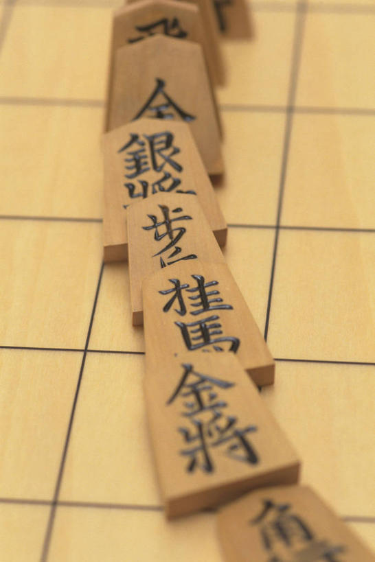 无人,竖图,俯视,室内,特写,白天,游戏,快乐,比赛,竞争,静物,一排,许多,阴影,整齐,反射,木制,标志,文字,影子,字符,很多,玩,娱乐,标识,排列,木制品,象棋,休闲,汉字,棋盘,益智,活动,队列,发泄,消遣,智力,中文,宣泄,国文,华文,将棋,日本象棋,玩耍,嬉戏,彩图,高角度拍摄