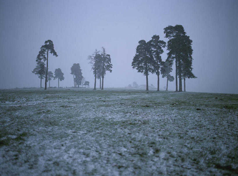 无人,横图,室外,白天,正面,旅游,度假,草地,草坪,美景,树林,植物,雾,法国,欧洲,朦胧,模糊,景观,娱乐,草,树,树木,绿色,自然,享受,休闲,景色,放松,生长,成长,迷雾,西欧,法兰西,自然风光,法兰西共和国,法兰西第五共和国,奥弗涅,奥弗涅大区,大雾,彩图