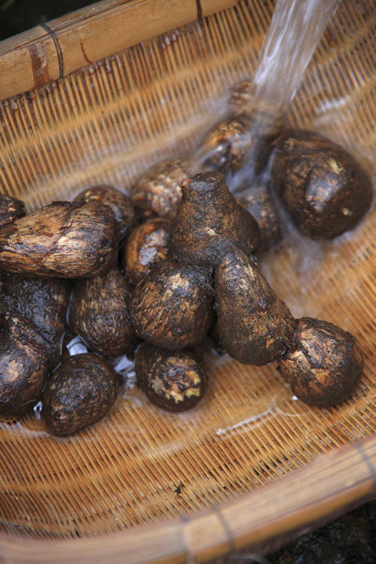 无人,竖图,俯视,室外,特写,白天,水,蔬菜,一堆,许多,阴影,堆叠,堆积,飞溅,新鲜,溅,反射,扁担,液体,影子,水滴,芋头,食品,很多,水珠,食物,毛芋,毛芋头,芋奶,有机食品,绿色食品,堆,喷洒,农具,青芋,芋子,竹木用具,芋艿,彩图,高角度拍摄