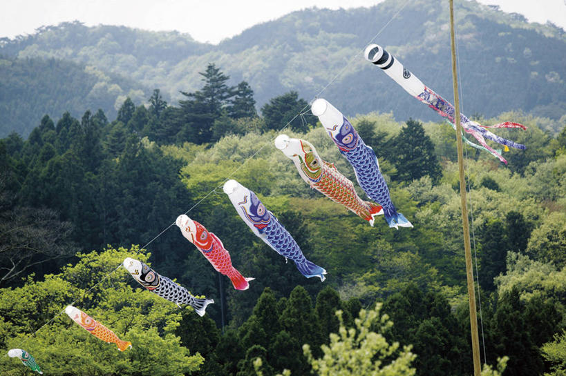 无人,横图,室外,白天,正面,旅游,度假,美景,森林,山,山脉,树林,植物,旗帜,日本,亚洲,一排,许多,阴影,节日,庆祝,整齐,并列,并排,光线,鲤鱼旗,影子,景观,山峰,山峦,很多,文化,娱乐,旗子,树,树木,排列,绿色,阳光,自然,群山,祈福,庆典,享受,休闲,景色,放松,生长,成长,纪念,祈求,队列,自然风光,平行,东亚,日本国,旌旗,旗号,鲤鱼节,男孩节,日本男孩节,子供之日,鲤帜,彩图