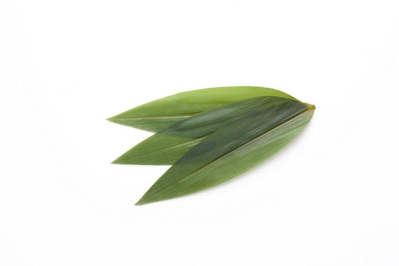 无人,横图,室内,特写,白天,白色背景,正面,纯洁,植物,竹子,叶子,纹理,绿叶,三片,绿色,嫩叶,摄影,影棚,高雅,肌理,奉献,质朴,正直,担当,叶,叶片,叶脉,竹,彩图,影棚拍摄,拍摄,奋进,操守,四君子,岁寒三友,性坚,虚怀,虚心,善群,卓尔