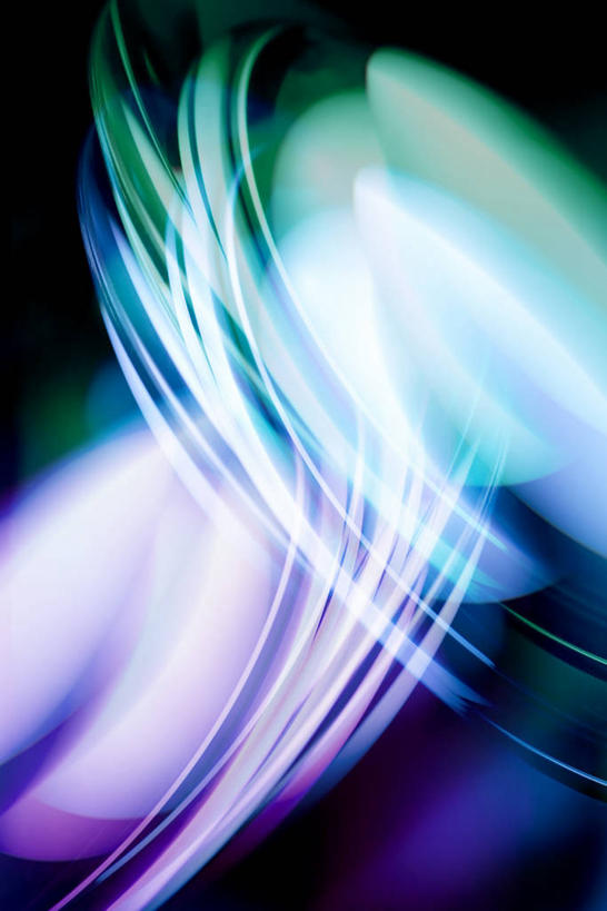 无人,竖图,室内,特写,白天,正面,神秘,阴影,黑色背景,朦胧,模糊,新鲜,光线,影子,灯光,绿色,紫色,摄影,影棚,青春,优美,生命,庄重,高贵,消极,和平,安详,冷色,孤寂,彩图,影棚拍摄,拍摄,奢华