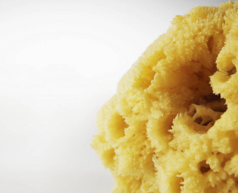 无人,横图,室内,特写,白天,白色背景,正面,静物,阴影,环保,反射,工具,海绵,影子,干净,一个,黄色,摄影,影棚,单个,卫生,去污,魔术海绵,纳米绵,强去污泡绵,清洁海绵,洗涤用具,洗涤,彩图,影棚拍摄,拍摄