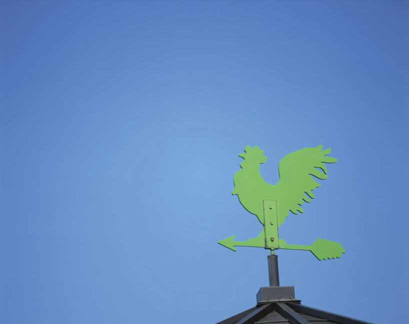 无人,横图,室外,特写,白天,仰视,鸡,风向标,风向袋,阴影,光线,影子,家禽,一个,蓝色,绿色,蓝天,天空,阳光,动物,天,牲畜,晴朗,单个,万里无云,风标,晴空,晴空万里,彩图,低角度拍摄