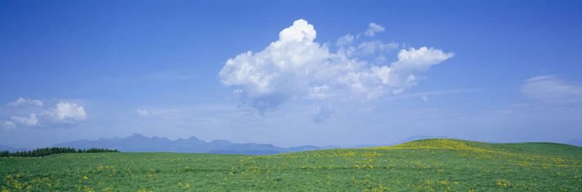 无人,横图,室外,白天,正面,旅游,度假,草地,草坪,花海,花圃,美景,山,山脉,植物,叶子,北海道,日本,亚洲,阴影,盛开,光线,影子,景观,山峰,云,云朵,山峦,花蕾,云彩,娱乐,草,花,花瓣,花朵,花卉,鲜花,蓝色,绿色,白云,蓝天,天空,阳光,自然,花丛,花束,花田,群山,天,花苞,花蕊,享受,休闲,景色,放松,晴朗,自然风光,东亚,日本国,北海道地方,北海道岛,根室支厅,晴空,彩图,标津郡,道东,中标津町