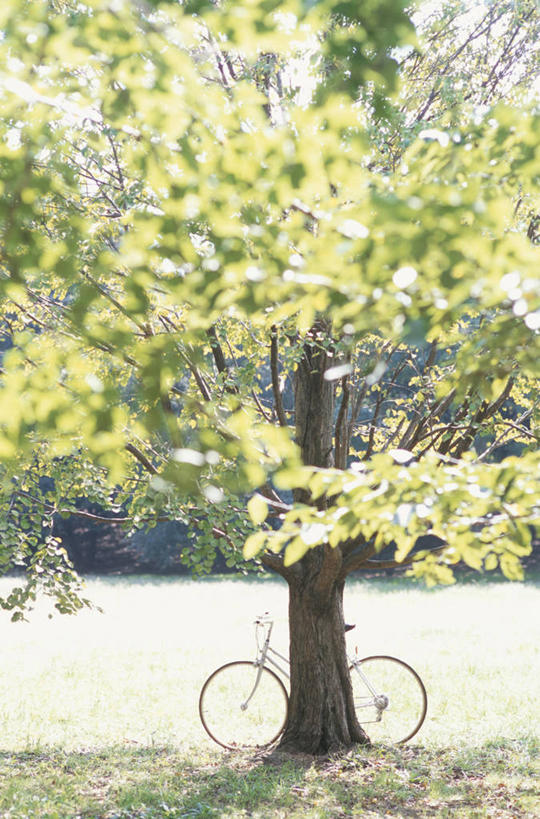 无人,竖图,室外,白天,正面,旅游,度假,草地,草坪,美景,树林,植物,自行车,神奈川,日本,亚洲,一辆,阴影,光线,影子,景观,神奈川县,娱乐,车,脚踏车,草,树,树木,绿色,阳光,自然,交通工具,享受,休闲,景色,放松,生长,成长,自然风光,载具,东亚,本州,川崎,关东地方,本州岛,日本国,彩图,川崎市