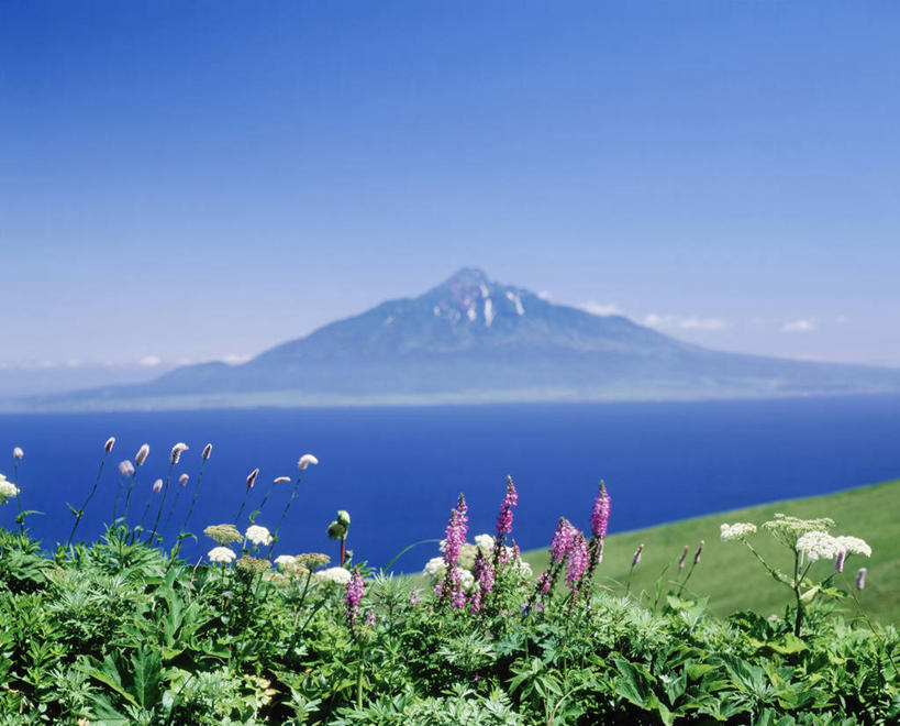 无人,横图,室外,白天,正面,旅游,度假,草地,草坪,海浪,海洋,花海,花圃,美景,山,山脉,植物,叶子,北海道,日本,亚洲,阴影,盛开,光线,影子,景观,浪花,山峰,云,云朵,山峦,花蕾,云彩,娱乐,草,花,花瓣,花朵,花卉,鲜花,树,树木,蓝色,绿色,白云,蓝天,天空,阳光,自然,海水,花丛,花束,花田,群山,天,花苞,花蕊,享受,休闲,景色,放松,生长,晴朗,成长,自然风光,海景,东亚,日本国,北海道地方,北海道岛,大海,风浪,海,海水的波动,近岸浪,涌浪,晴空,彩图,利尻岛