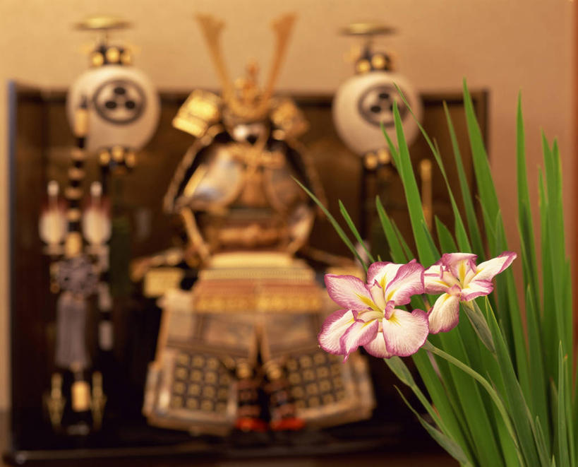 无人,横图,室内,白天,正面,安全,帽子,叶子,日本,节日,朦胧,模糊,庆祝,盛开,盔甲,头盔,绿叶,防护,花蕾,文化,花,花瓣,花朵,鲜花,粉色,安全帽,花苞,花蕊,庆典,嫩叶,纪念,保护,保险,防御,铠甲,防具,防卫,鲤鱼节,男孩节,日本男孩节,子供之日,平安,叶,叶片,彩图,甲胄